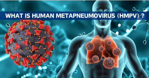 Human-Metapneumovirus-HMPV-Virus-