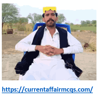 Shahid Lund Gangster Kacha