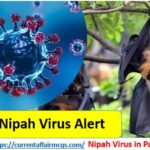 Nipah Virus Outbreak Pakistan