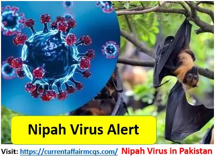Nipah Virus Outbreak Pakistan